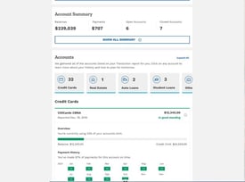 Credit Report